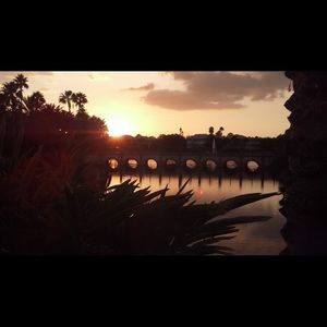 Meet your Posher, Bella